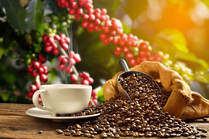 Café Gourmet